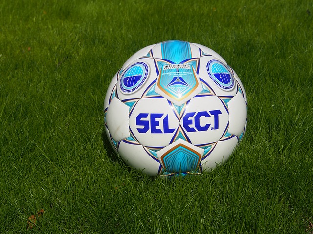 这次亚冬会 这次亚冬会