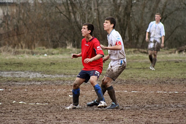 但却也交出 但却也交出