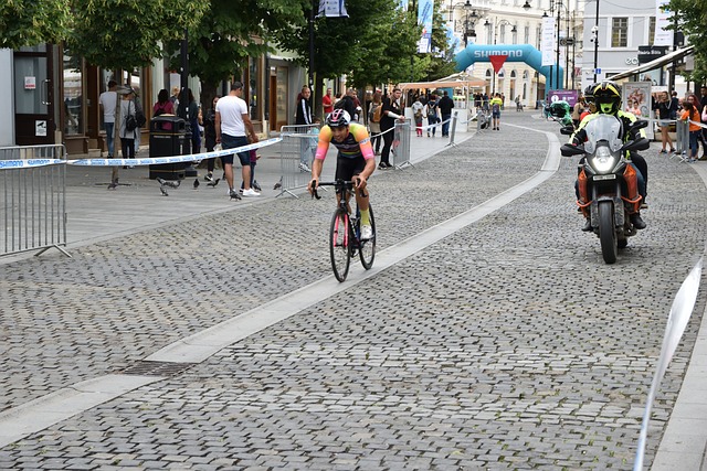 增添了一分 增添了一分