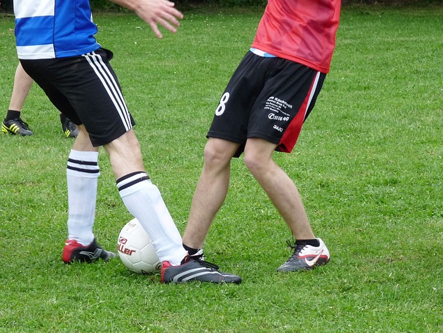 热爱篮球的 热爱篮球的